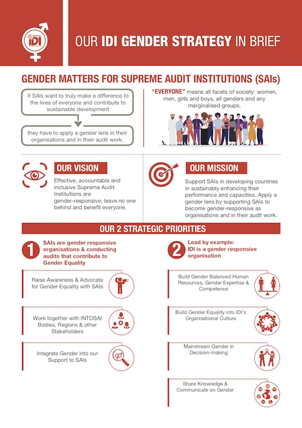 IDI Gender Strategy Infographic cover