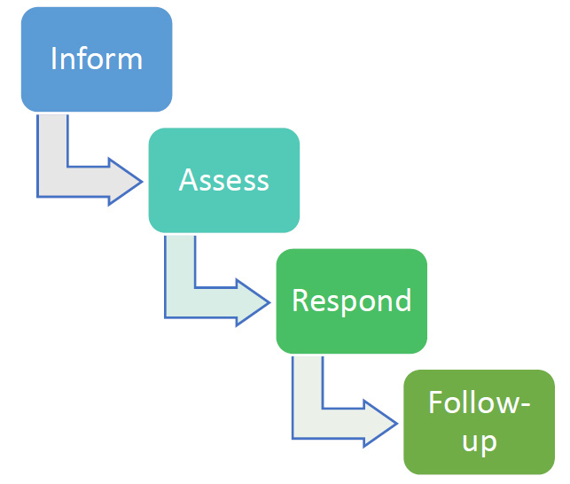 INTOSAI Journal Spring 2021 2