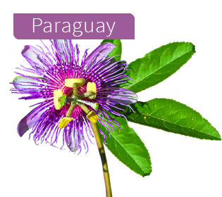 Paraguay