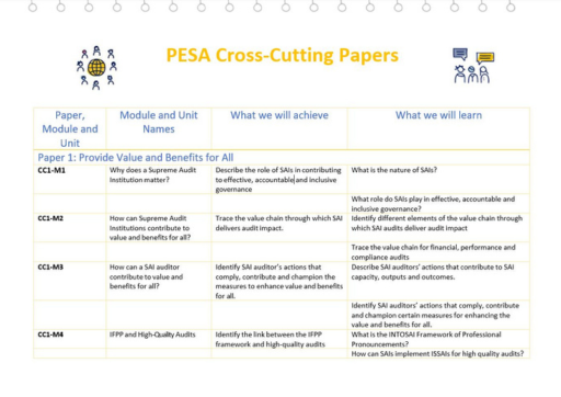 Cover image of PESA-P Cross-Cutting Module info sheet