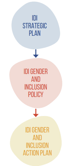 Infographic showing how IDI Gender Policy influences IDI Gender Strategy and IDI Gender Action Plan.