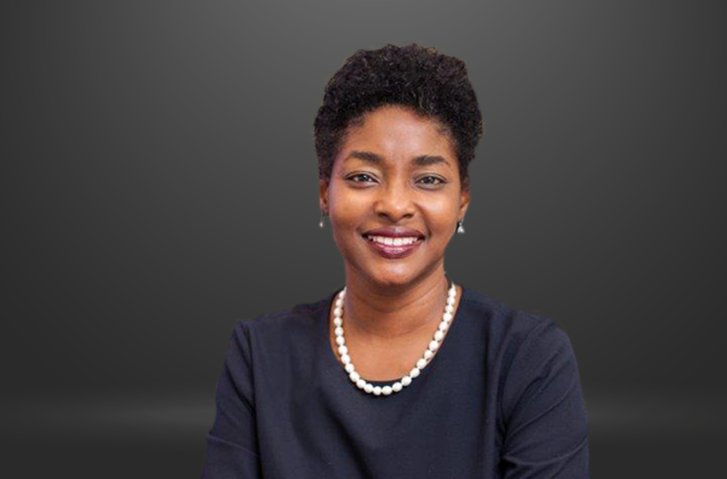 Meet Pamela Monroe Ellis, Auditor General of Jamaica, in IDI's 'Meet the Board' series