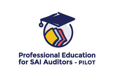 Logo for the Professional Education for SAI Auditors (PESA-P) initiative