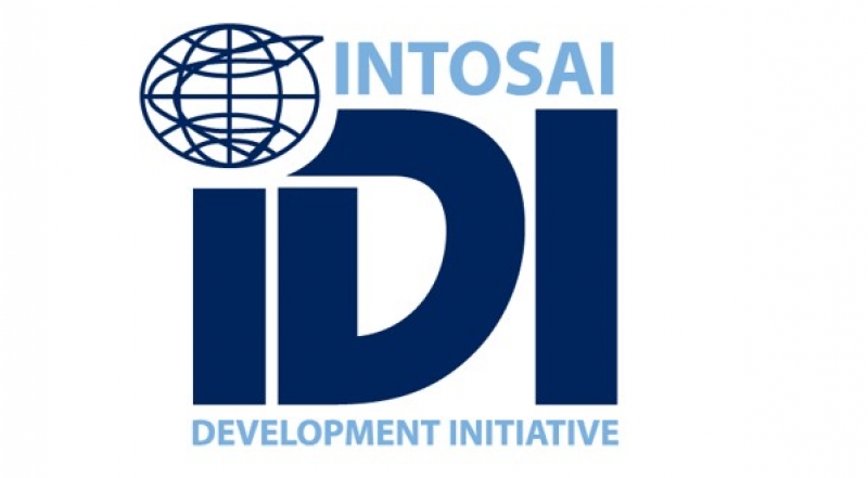 Call for Tender: Provision of External Gender Expertise for IDI upon call
