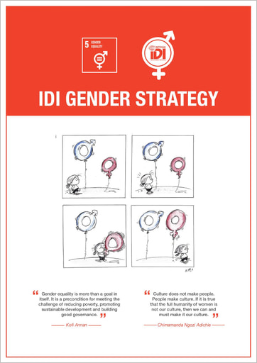 Cover image of IDI Gender Strategy