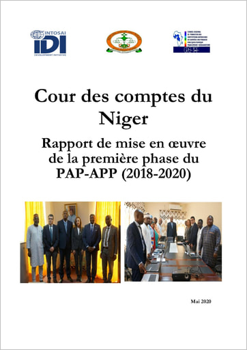 SAI Niger Project Report 2018-2020 Cover