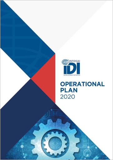 Cover image of IDI Gender Strategy