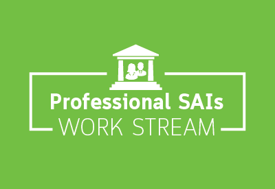 Logo for the Professional SAIs work stream