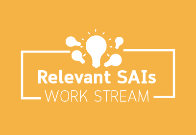 Logo for the Relevant SAIs work stream