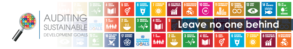 Auditing the SDGs