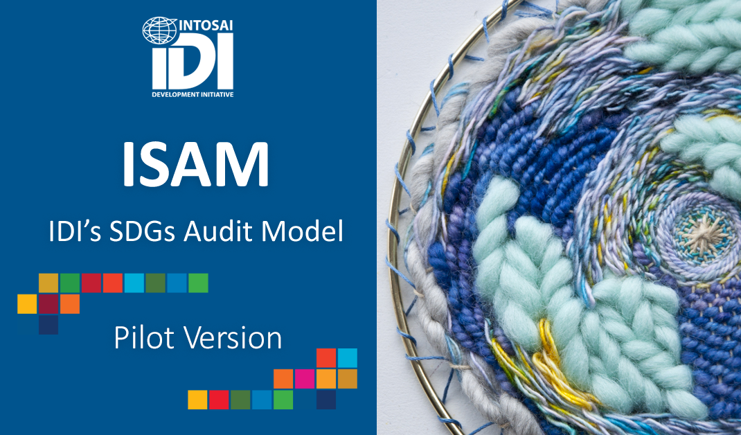 IDI's SDG Audit Model (ISAM)