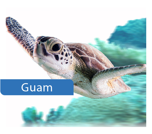 Guam Success Story image