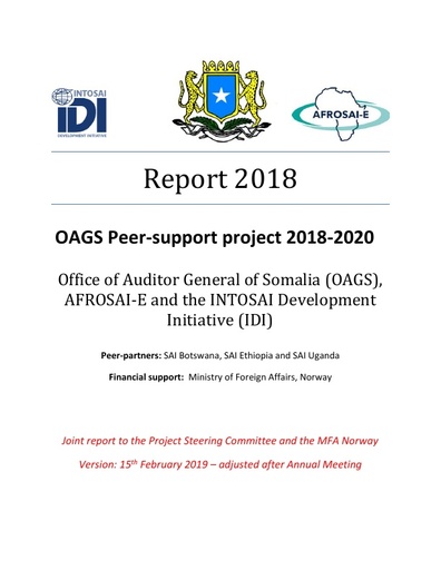 Report OAGS Peer-support project 2018
