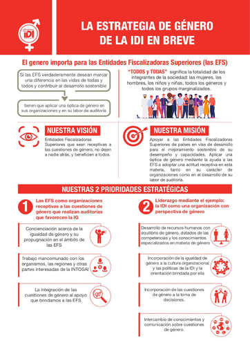 IDI Gender Strategy Infographic -Spanish