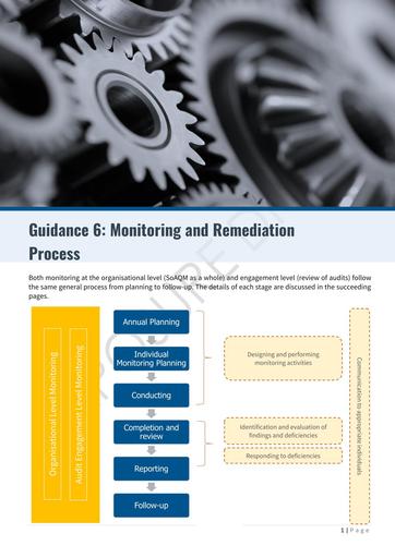 6  Monitoring and Remediation Process