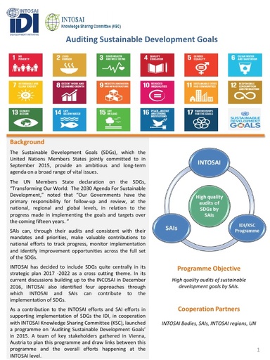 Auditing SDGs brochure