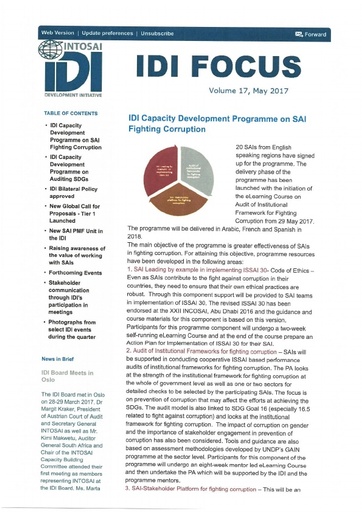 IDI Focus 17 Newsletter