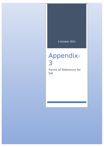 Appendix 3 ToR SAI