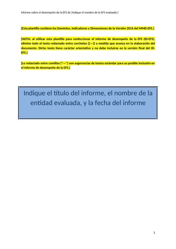 MMD EFS plantilla del informe