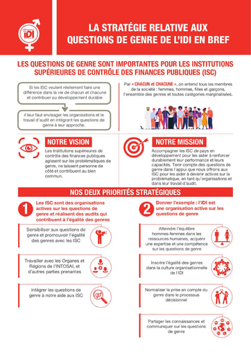 IDI Gender Strategy Infographic -French